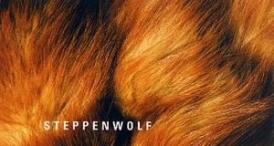 Steppenwolf - A Novel by Hermann Hesse