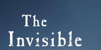 The Invisible Ones - a Novel by Stef Penney